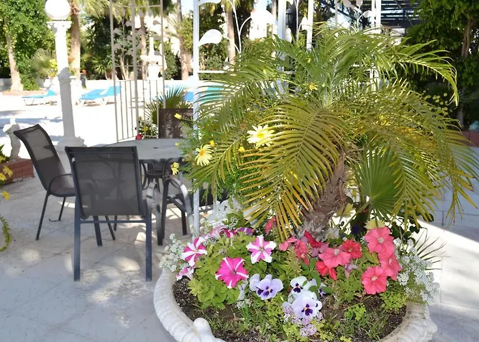 Tasiana Star 3* Limassol